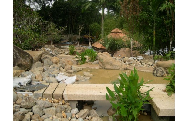 Pond @ 3 Binjal Hill