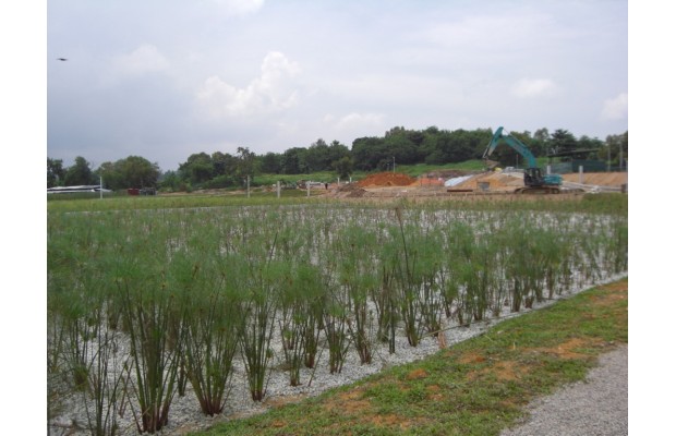 Proposed Wetlands @ Lorong Halus Landfill