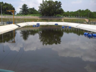 Lorong Halus — site photograph 7 of 8